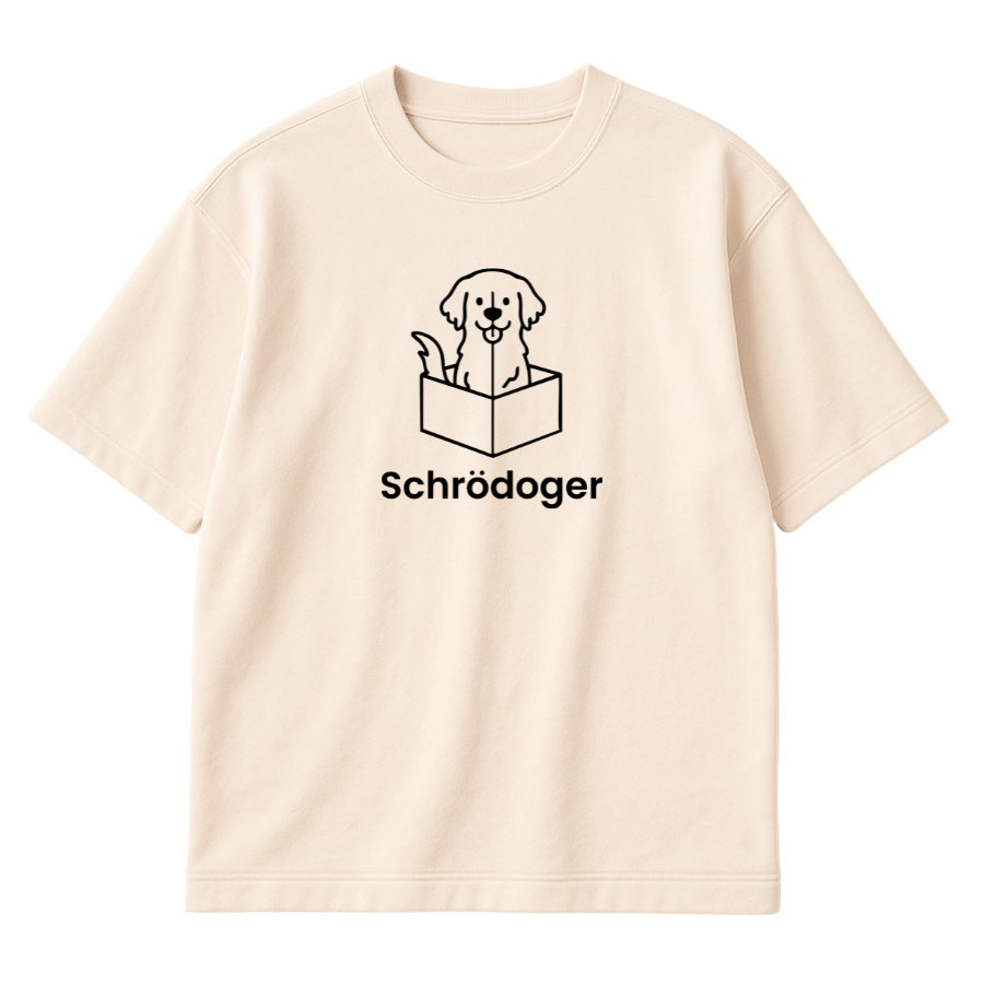 The Schrödinger